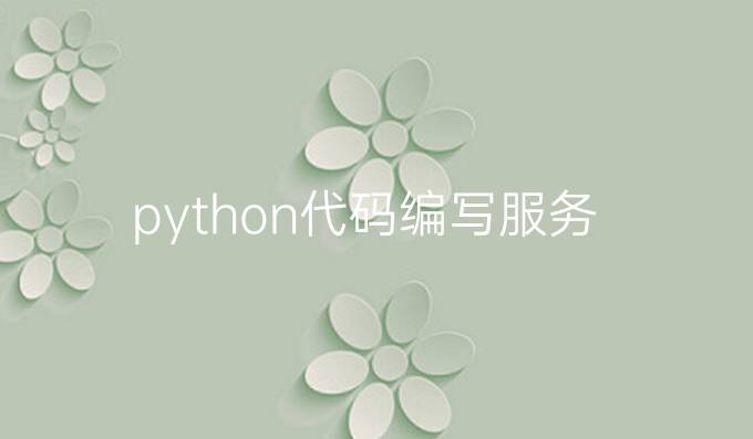 python代码编写服务