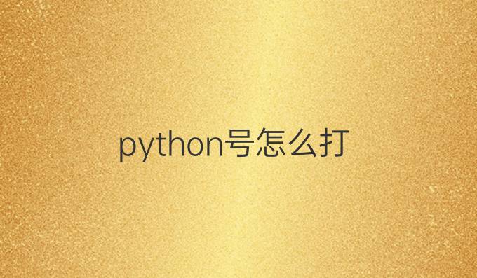 python=号怎么打