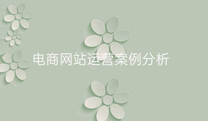 电商网站运营案例分析
