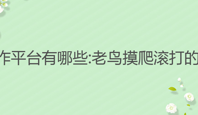 ai学术写作平台有哪些:老鸟摸爬滚打的最佳选择